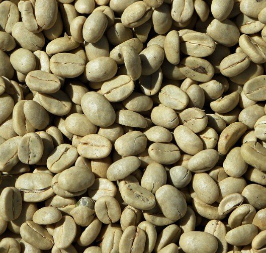 Exploring the Unique Characteristics of Sulawesi Green Coffee Beans