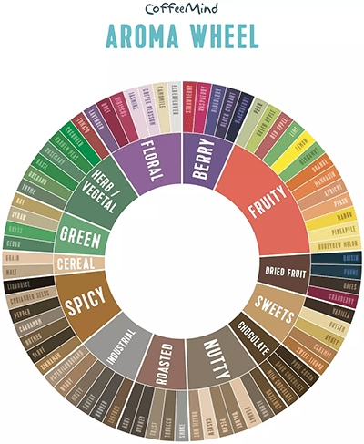 Understanding Coffee Flavors And Aromas