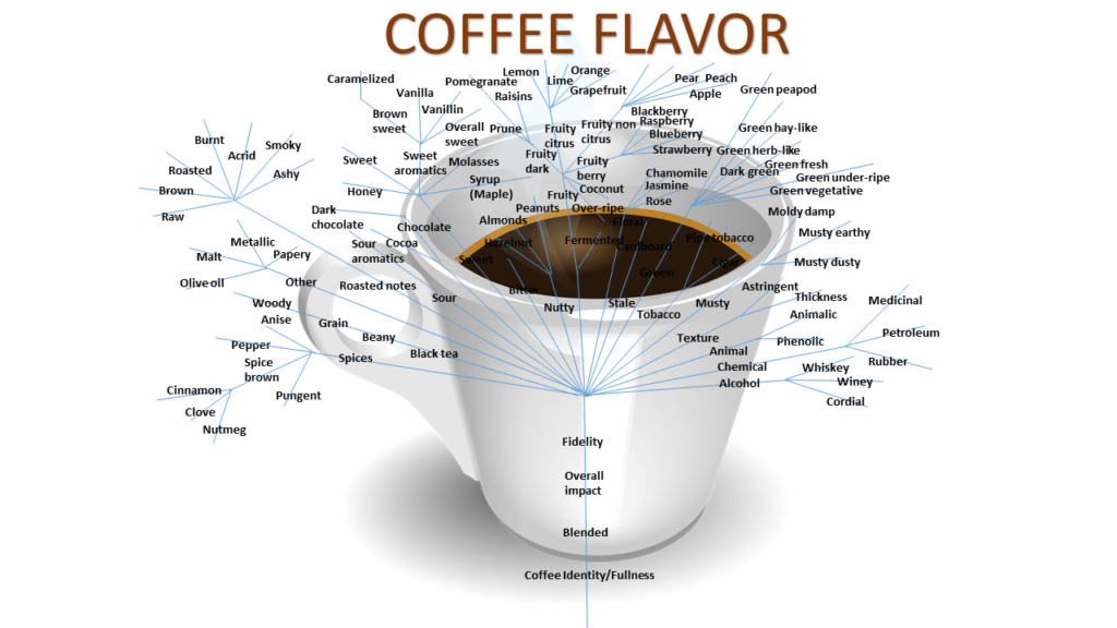 Understanding Coffee Flavors And Aromas