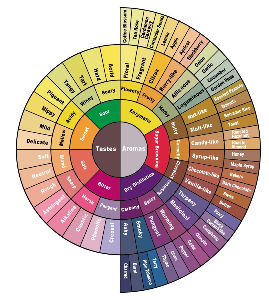 Understanding Coffee Flavors And Aromas