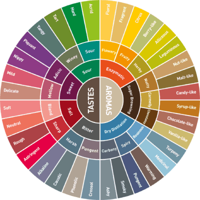 Understanding Coffee Flavors And Aromas