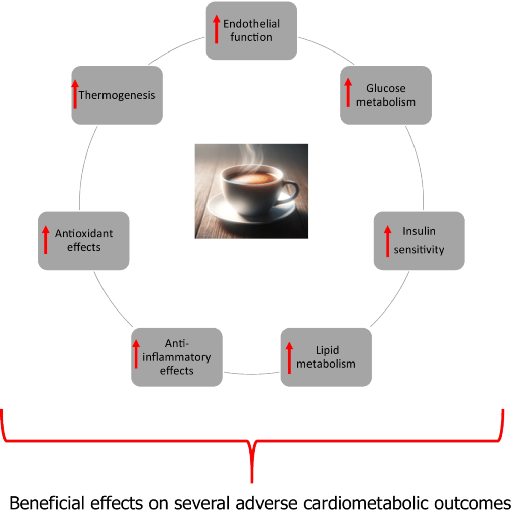 Exploring the Health Risks of Coffee Consumption